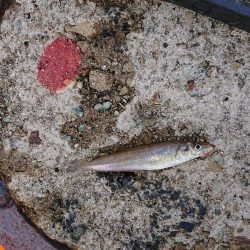 タイミング悪い